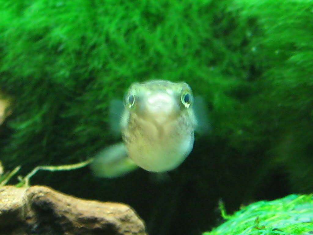 IMG_0204.jpg