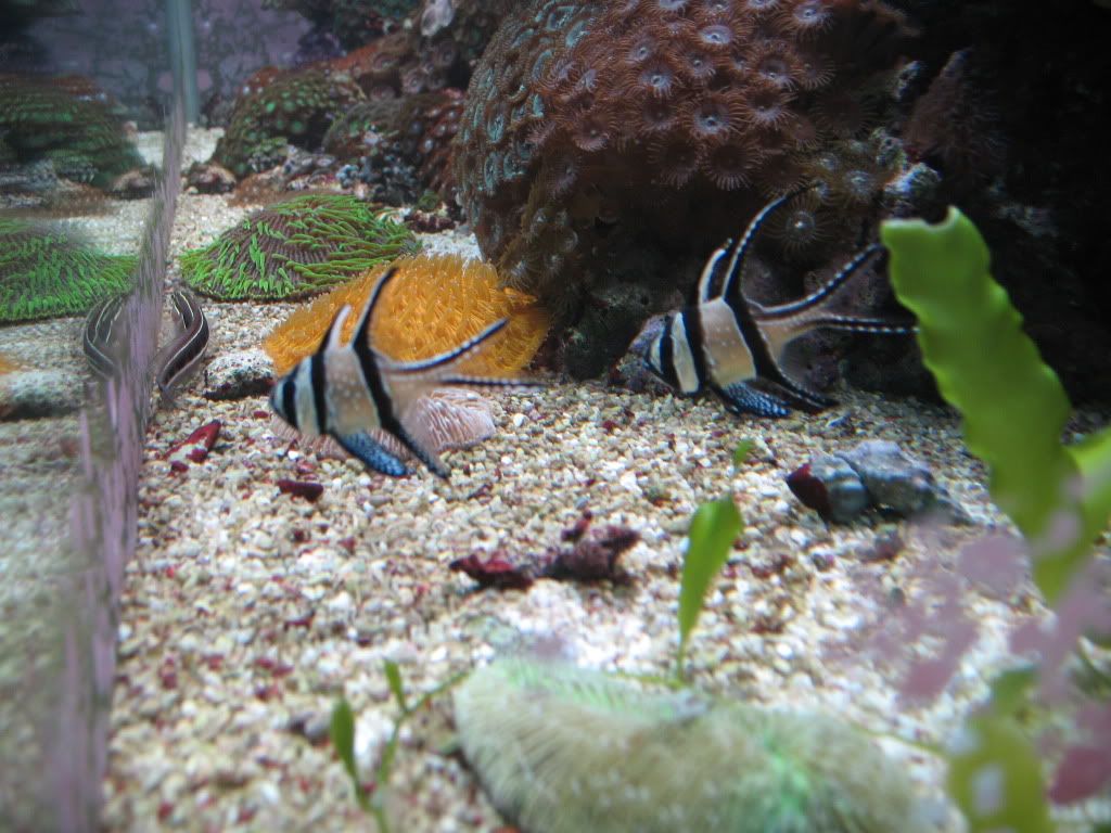 IMG_2058.jpg