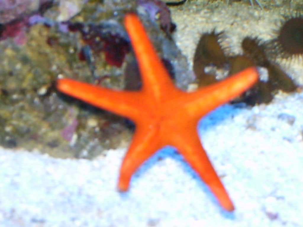 HPIM0422.jpg