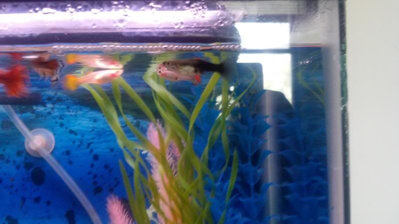 2013-04-06_13-35-41_358-1.jpg