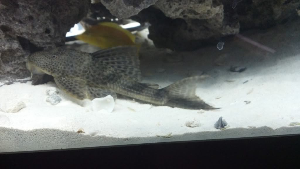 2012-04-08_12-20-07_319.jpg