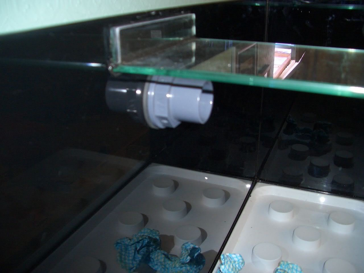 CIMG0029.jpg