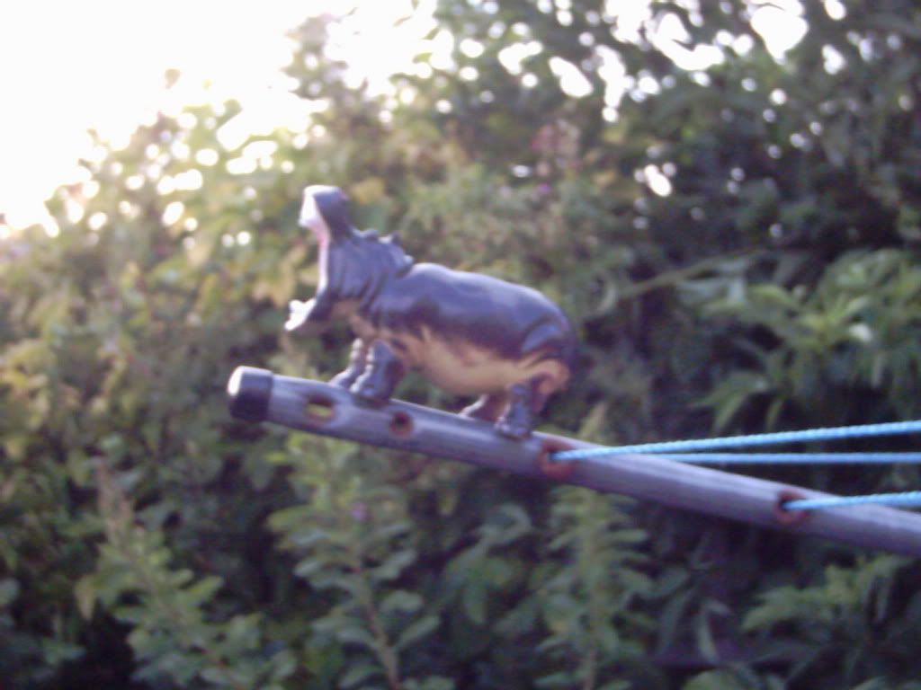 19bddc95.jpg