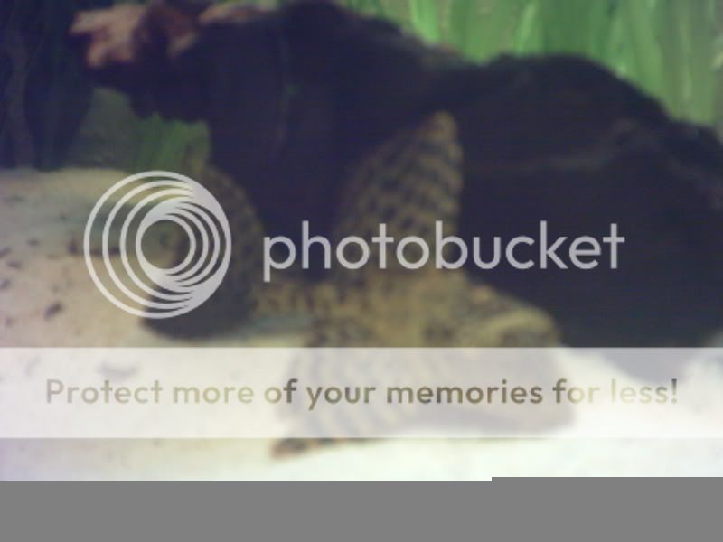 digicam144.jpg