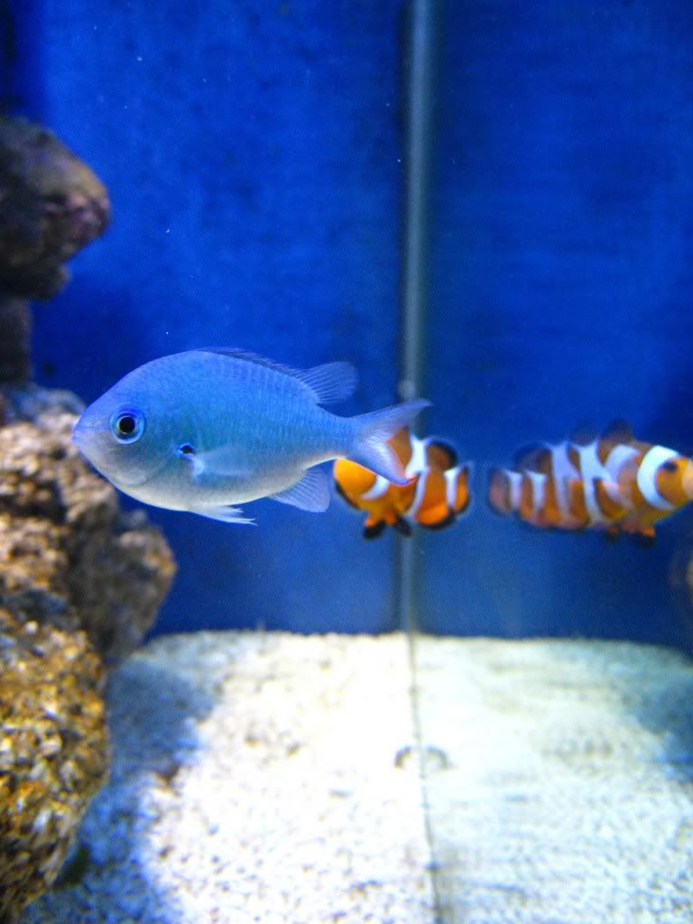 IMG_0499.jpg
