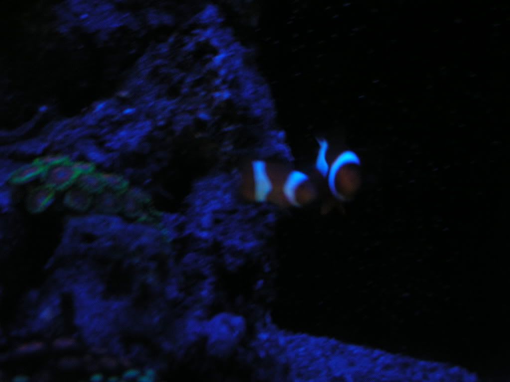 PICT1342.jpg