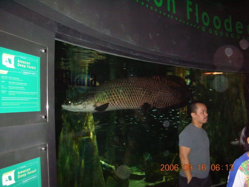 DSCN1147.jpg