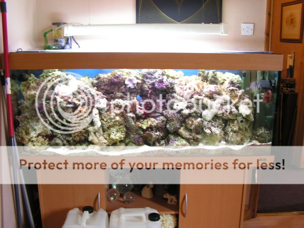 PICT0293.jpg