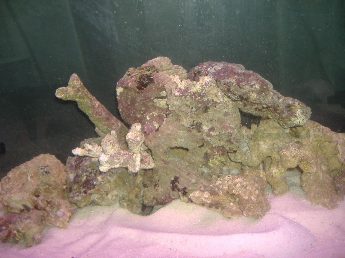 DSCF0399.jpg