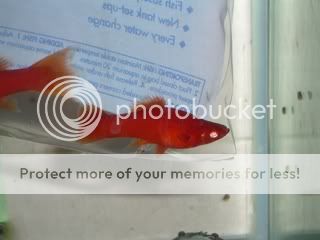 IMGP0760.jpg