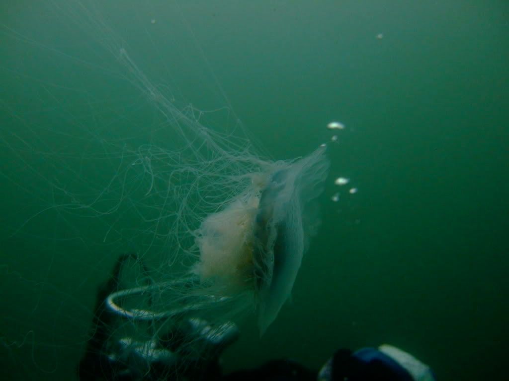 DSCF5901.jpg