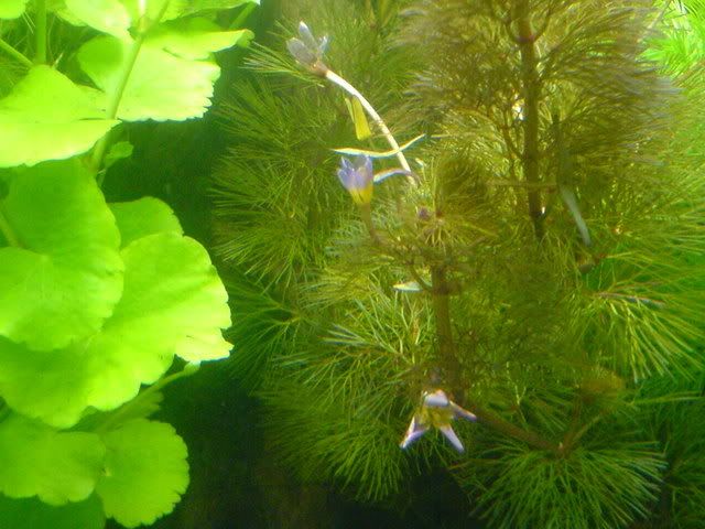 DSC01216.jpg