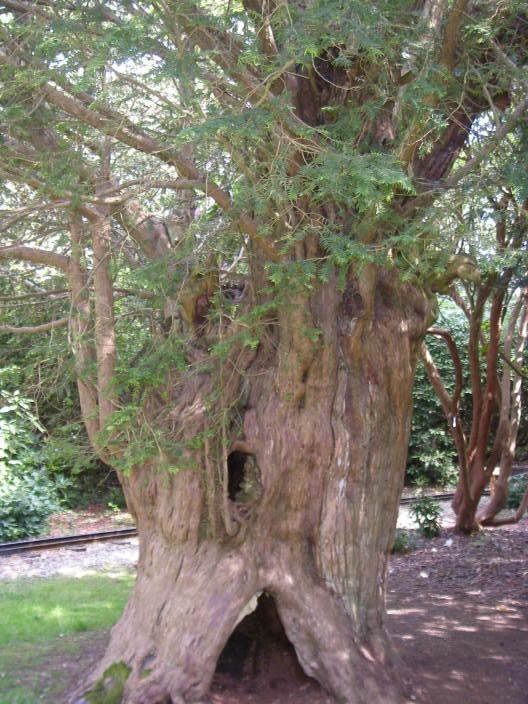 exburygardens017.jpg