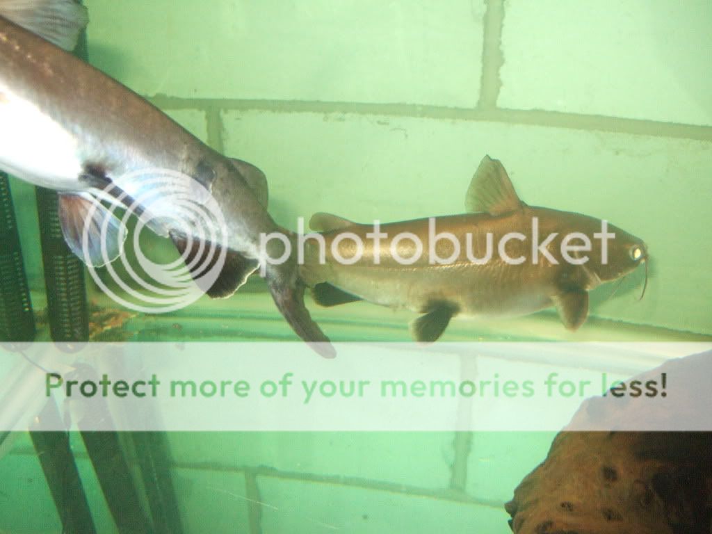 2010_09050483.jpg