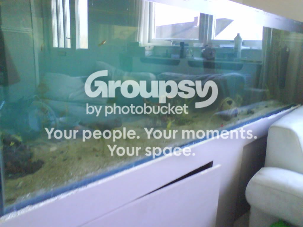 003-1.jpg