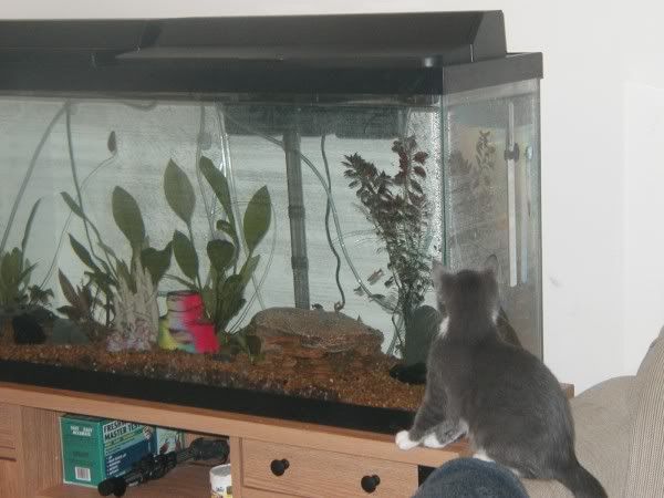 fishingleeloo2.jpg