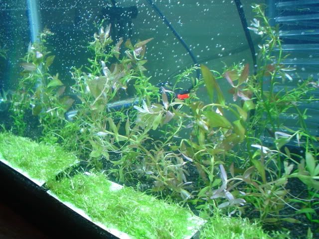 Picture092.jpg