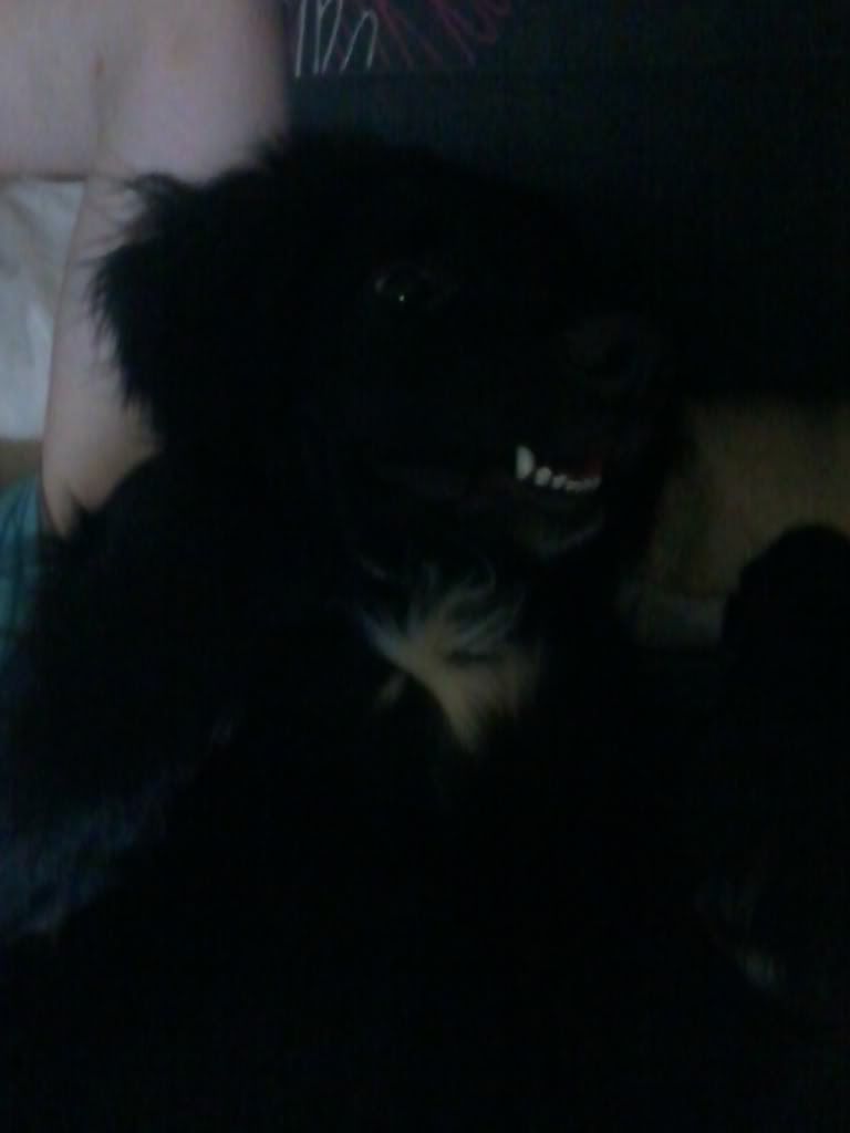 2011-06-02204328.jpg