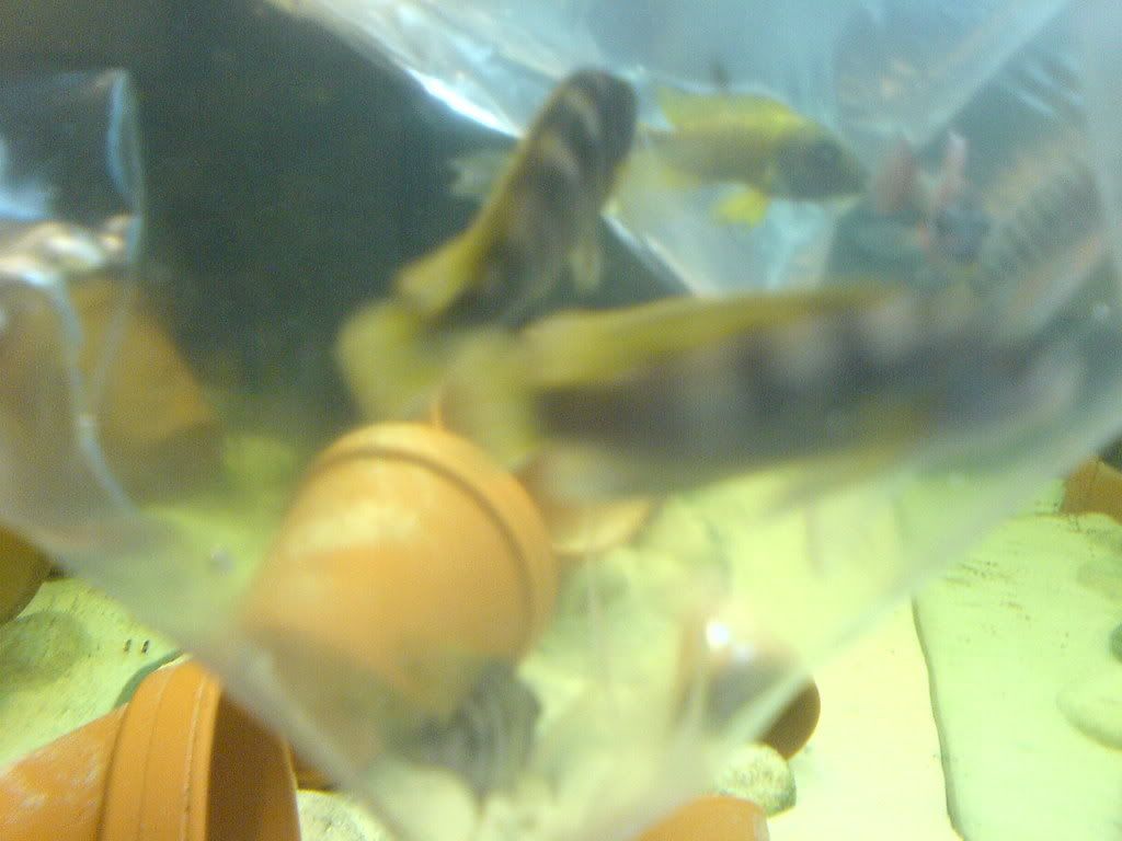 DSC02145.jpg