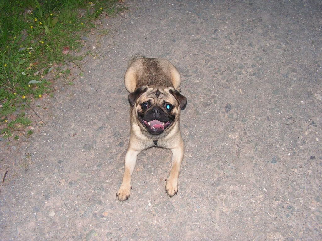 PICT0914.jpg