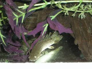 DSCN1628.jpg