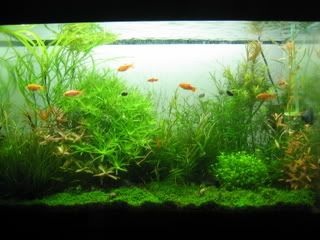 Picture017-3.jpg