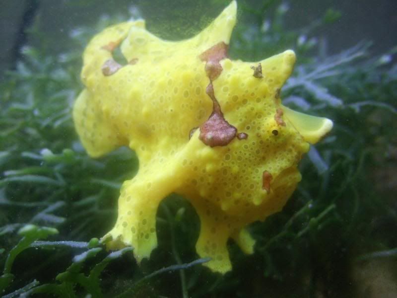 DSCF2834.jpg