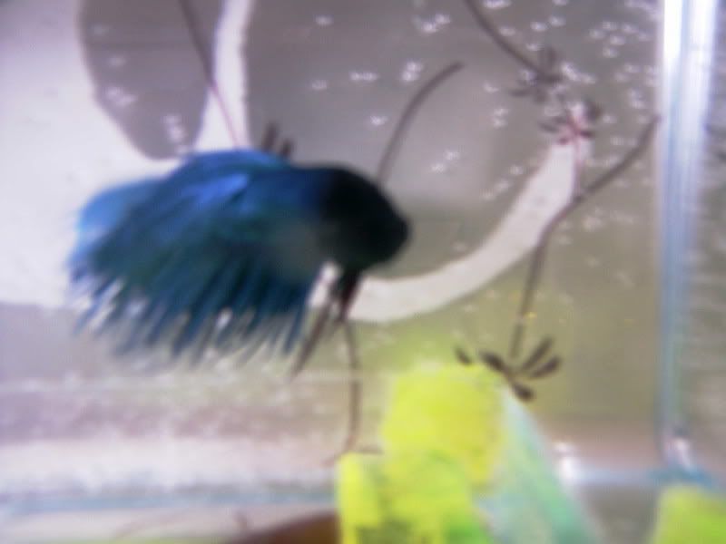 Aki-kun004.jpg