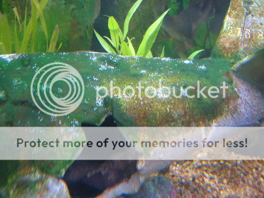 DSCF3892.jpg