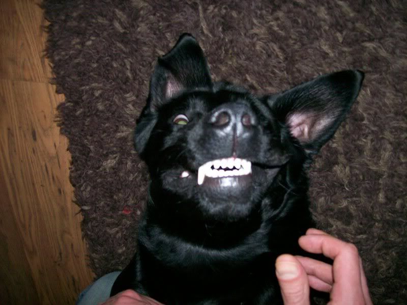batfink.jpg