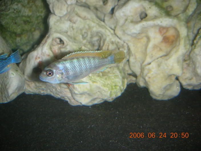 DSCN1043.jpg