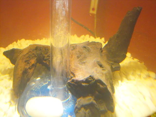 2010_0318gravel0008.jpg