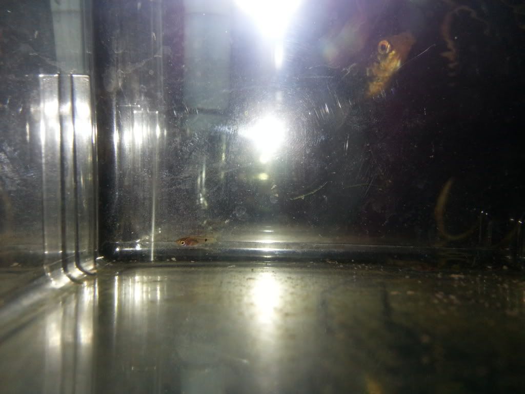 20130407_133049_zps6f10fbb5.jpg