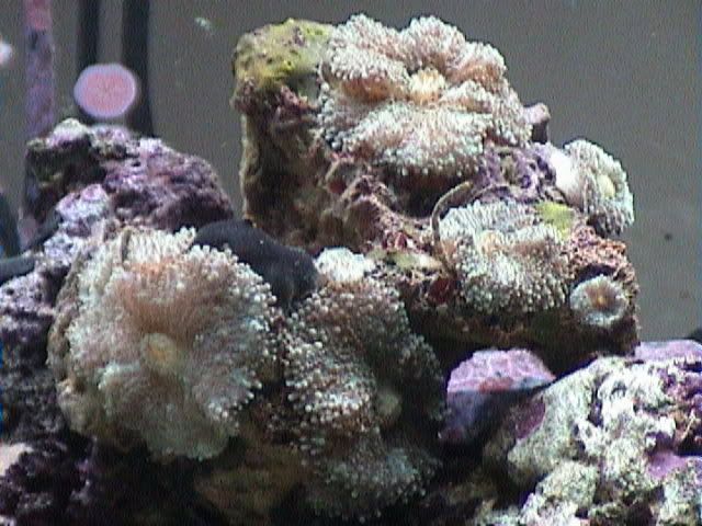 DSC00081.jpg