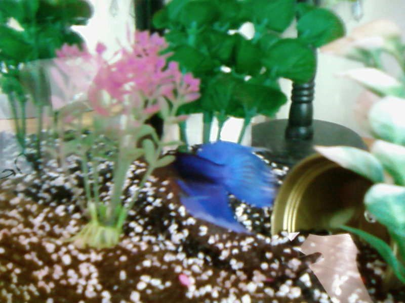SP_A0311.jpg