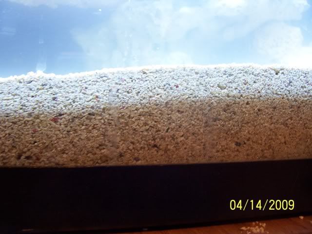 100_5339.jpg