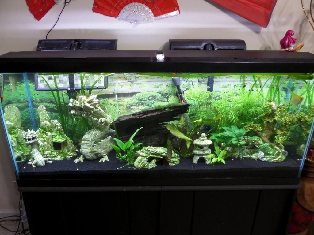 SAM_3894_zps5c931e46.jpg