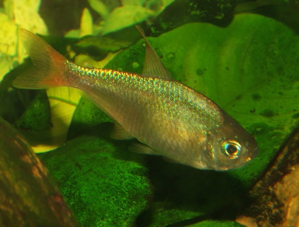 DSCF5699.jpg
