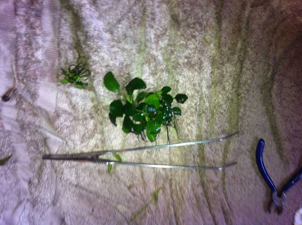 photo-37.jpg