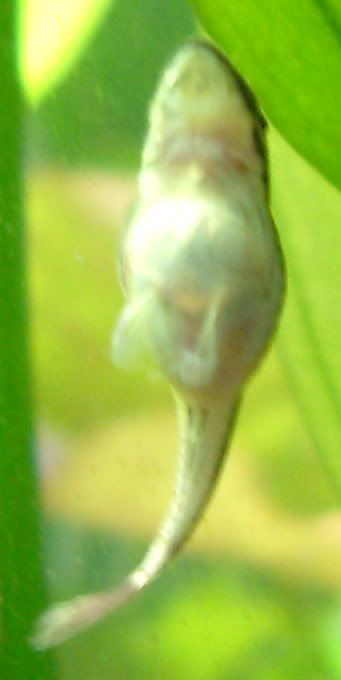 2005_0508_123000.jpg