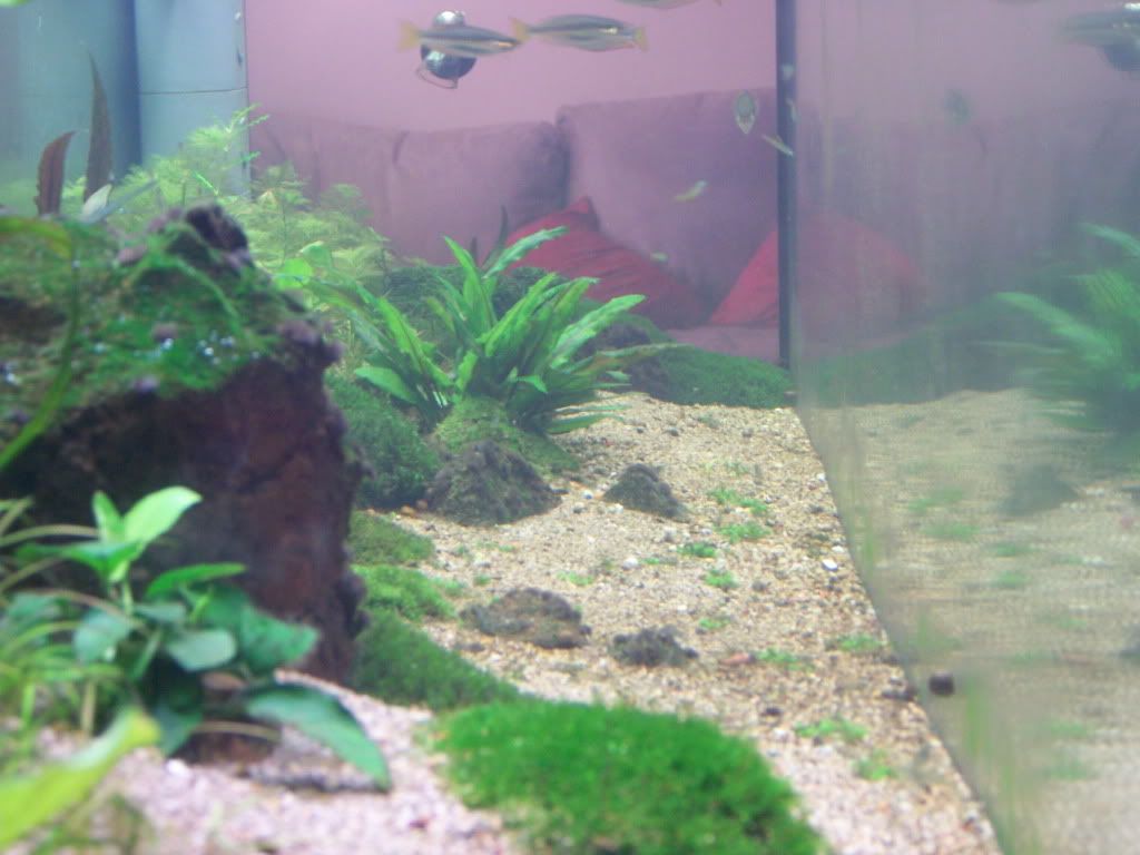 100_5368.jpg