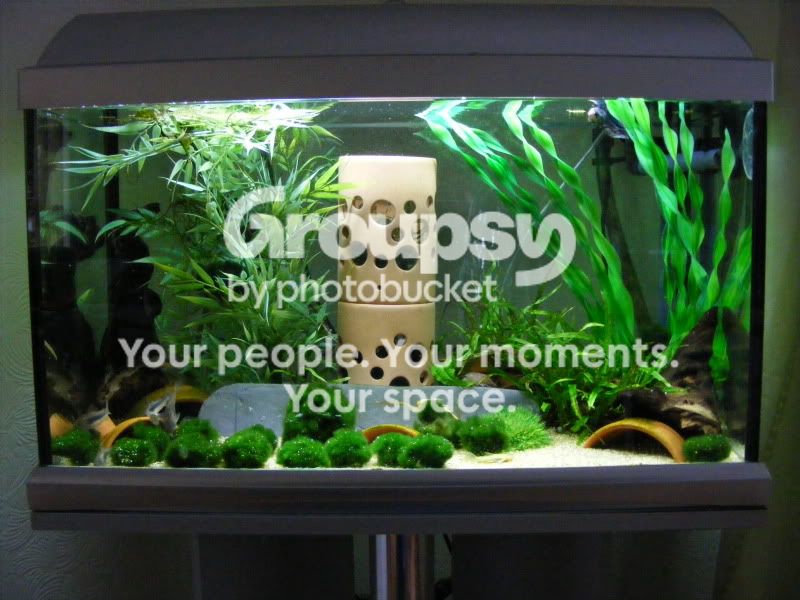 DSCF2560.jpg