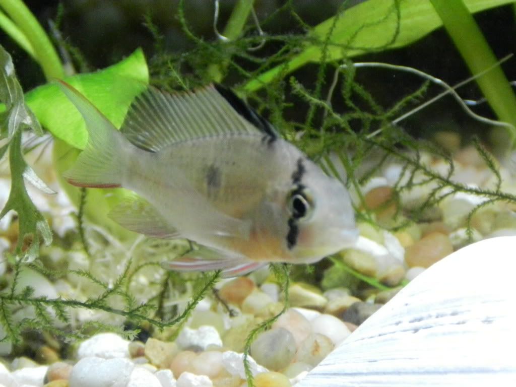 DSCN5481.jpg