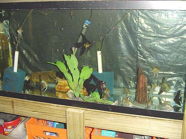 dsc009325528cx.jpg