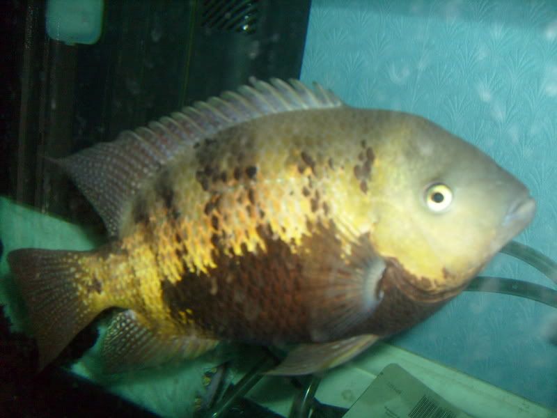 S7302051.jpg