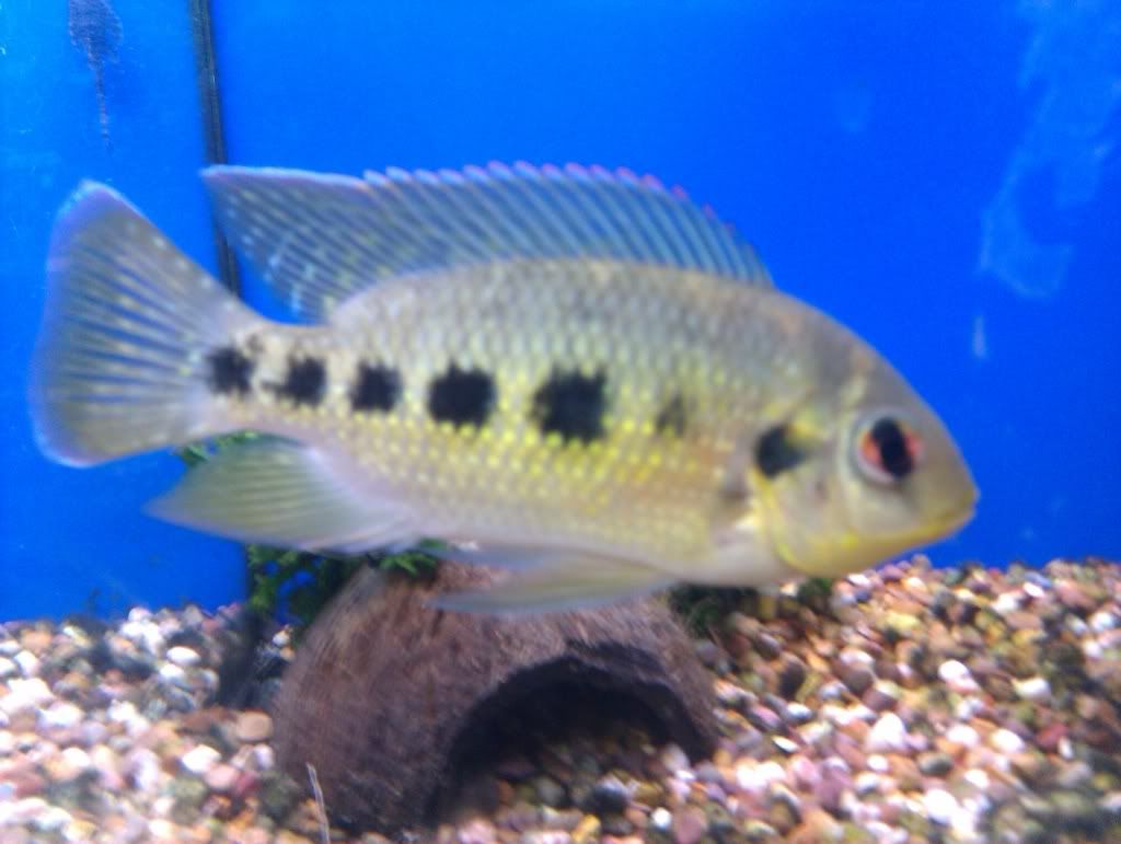 IMAG0235.jpg