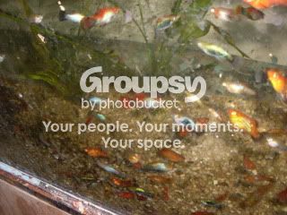Testing048.jpg