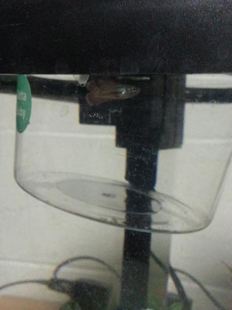 20140416_192610.jpg