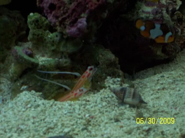 100_7031.jpg
