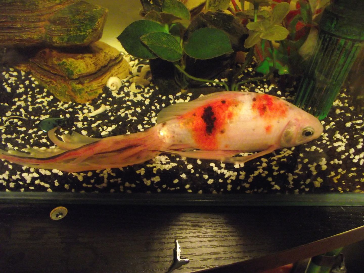 DSCF1892.jpg